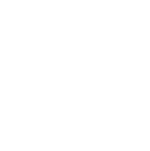 Regenerating Lantau Mountain Camp